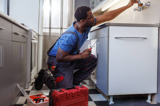 Best Plumbing Services Near Me  in Urbandale, IA